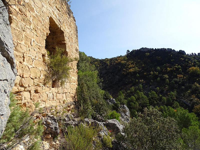 Torre de Monte Vira