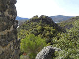 Torre de Monte Vira