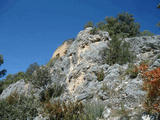 Torre de Monte Vira