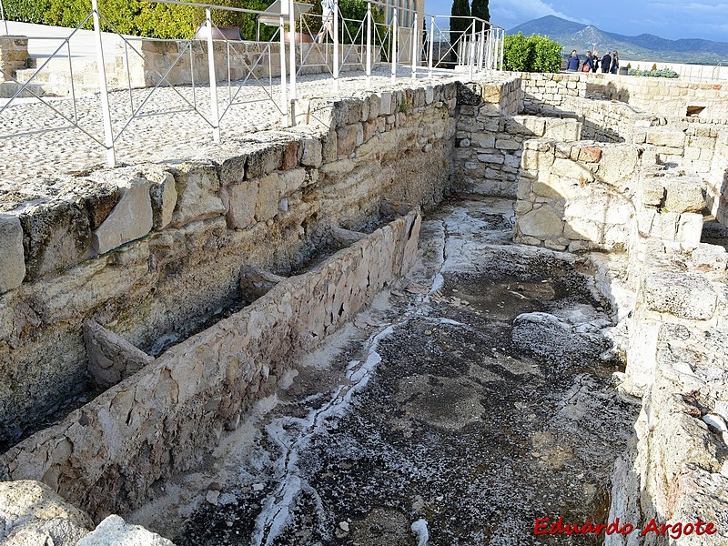 Fortaleza de la Mota