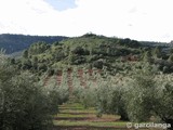 Torre de las Fuentes