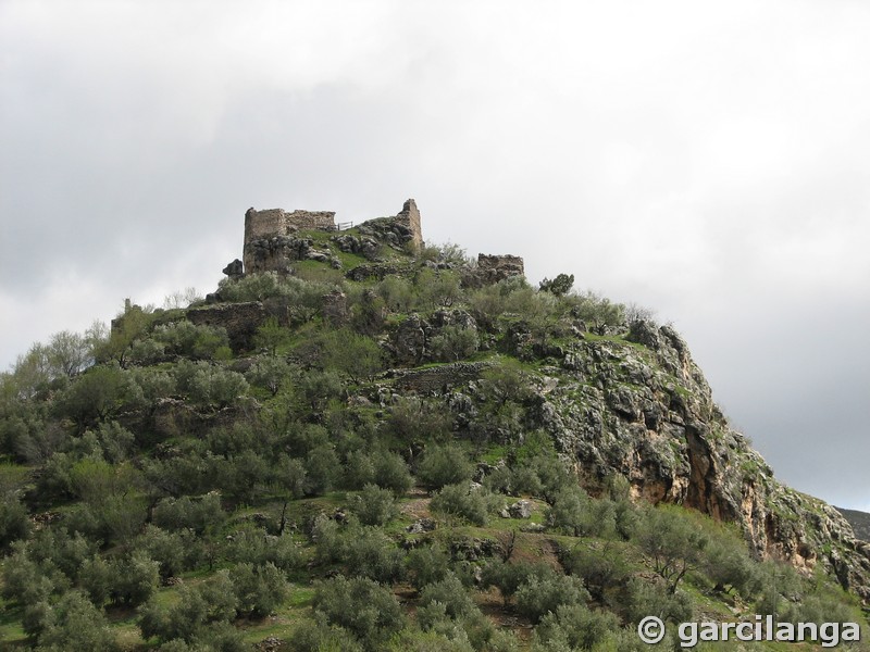 Castillo de La Espinareda