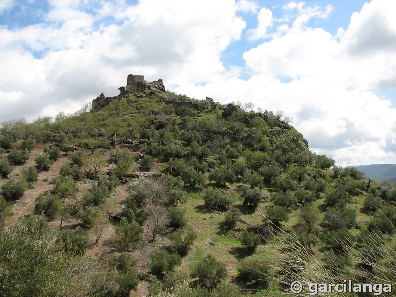 Castillo de La Espinareda