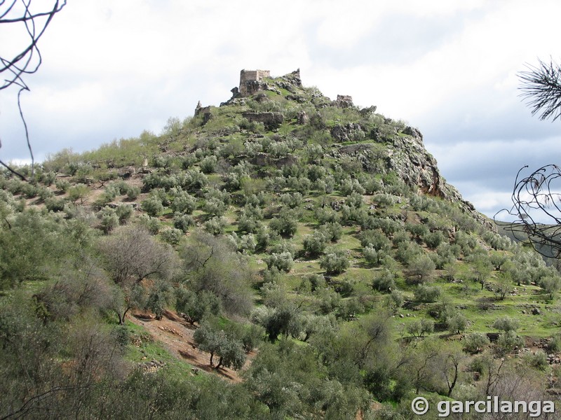 Castillo de La Espinareda