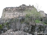 Castillo de La Espinareda