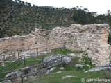 Castillo de La Espinareda