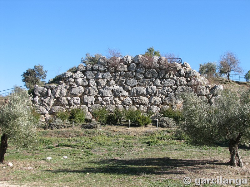 Imagen de Torre de Cerro Miguelico