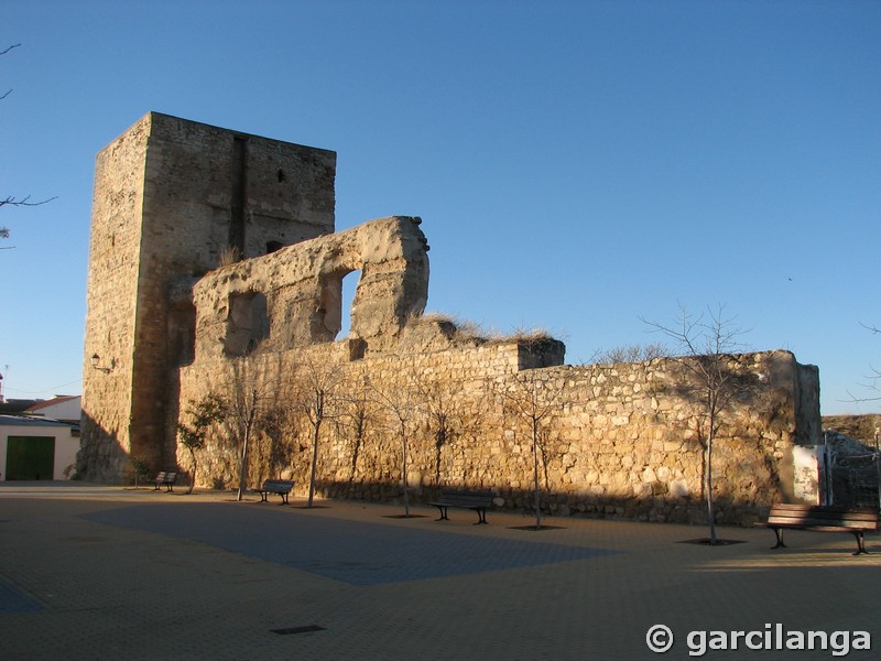 Imagen de Castillo de Villardompardo