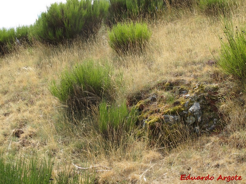 Castillo de Siero