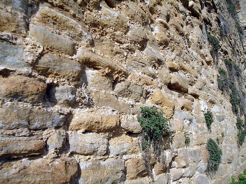 Muralla urbana de Àger