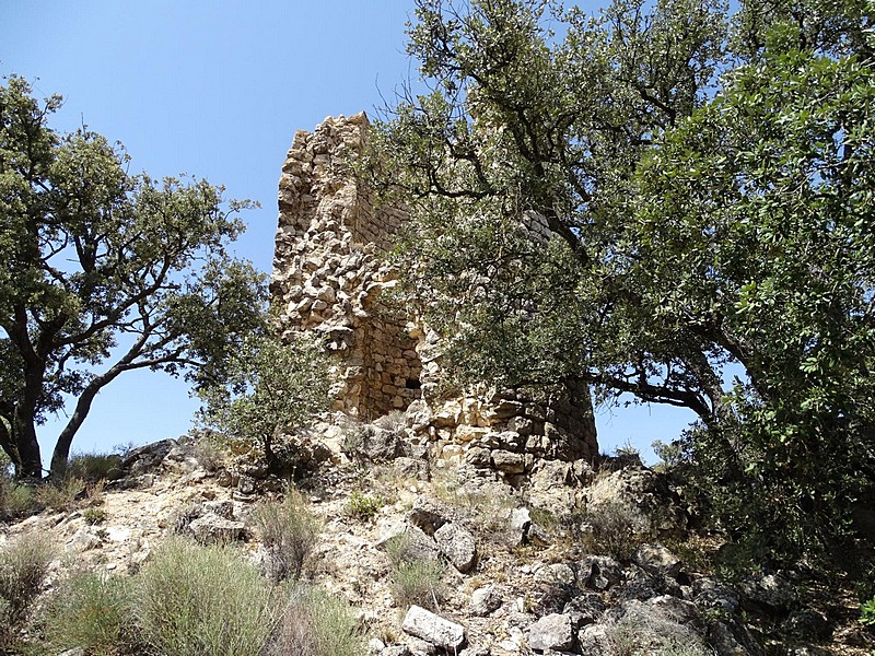 Castillo de Millà