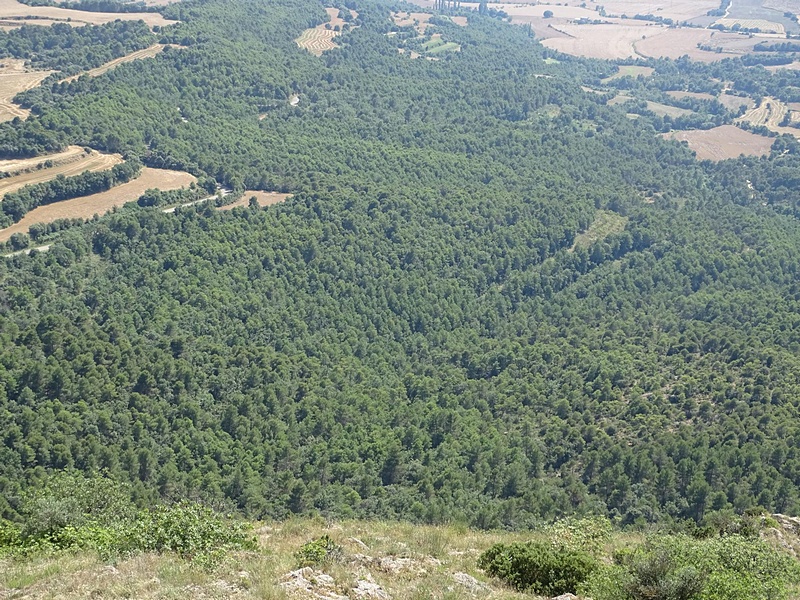 Castillo de Montmagastre