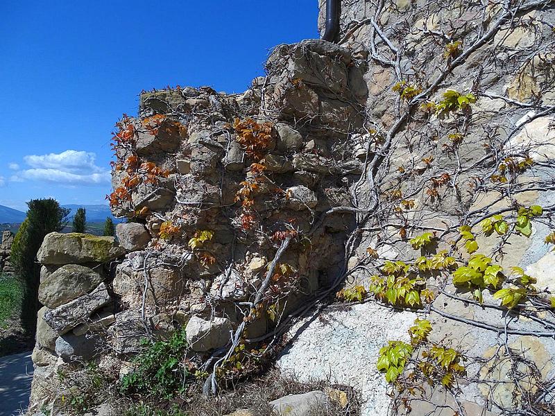 Castillo de Seró