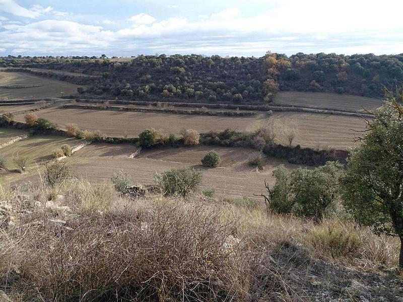 Castillo de Tudela