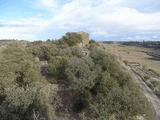 Castillo de Tudela