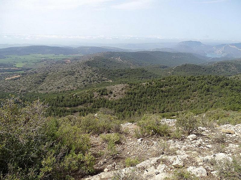 Torre de Cérvoles