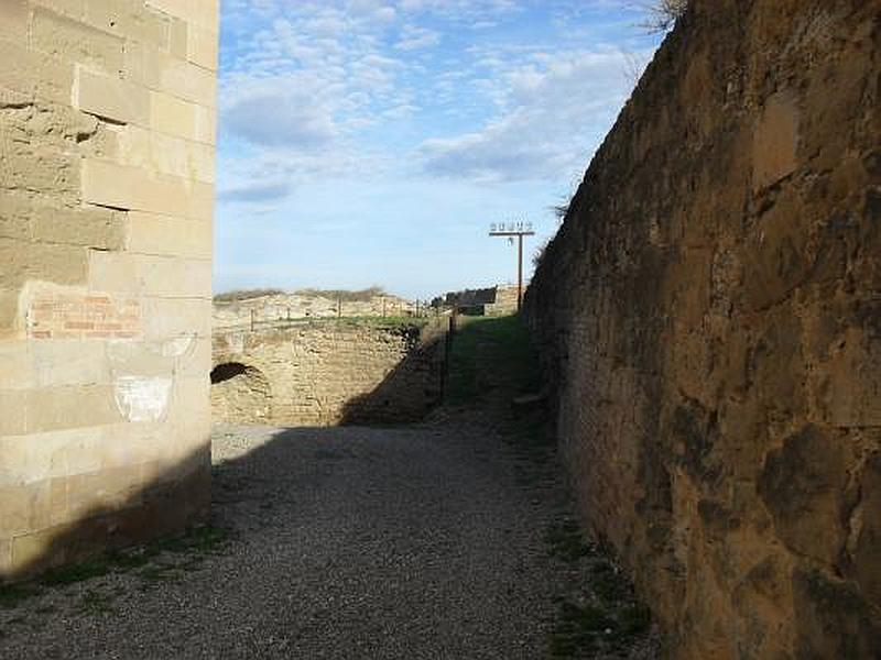 Castillo de Gardeny