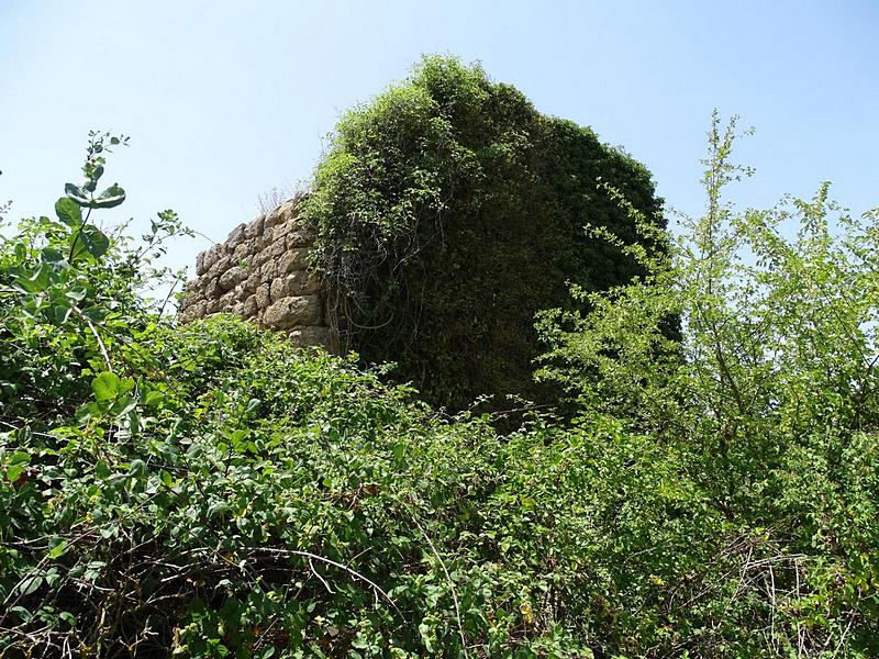 Castillo de Llobera