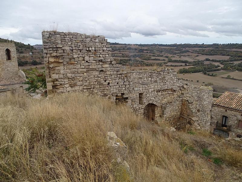 Castillo de Montoliu de Segarra