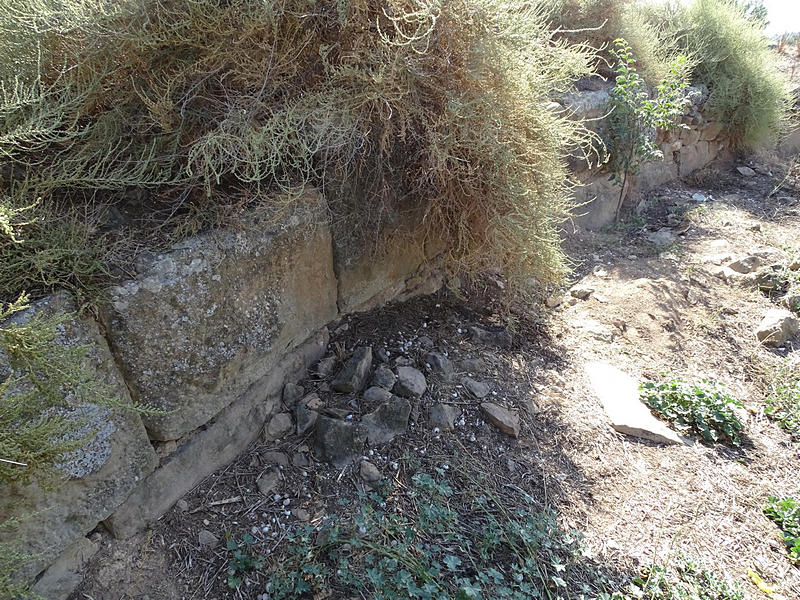 Castillo de Castellnou d'Ossó