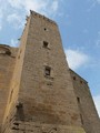 Castillo de L'Aranyó