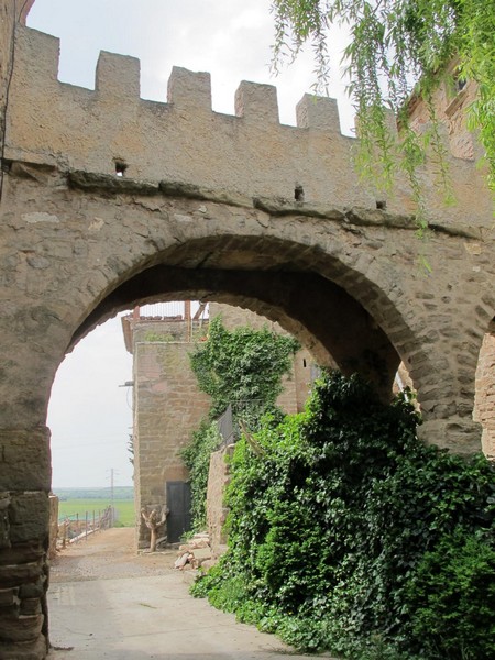 Muralla urbana de L'Aranyó