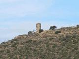 Torre del Cargol