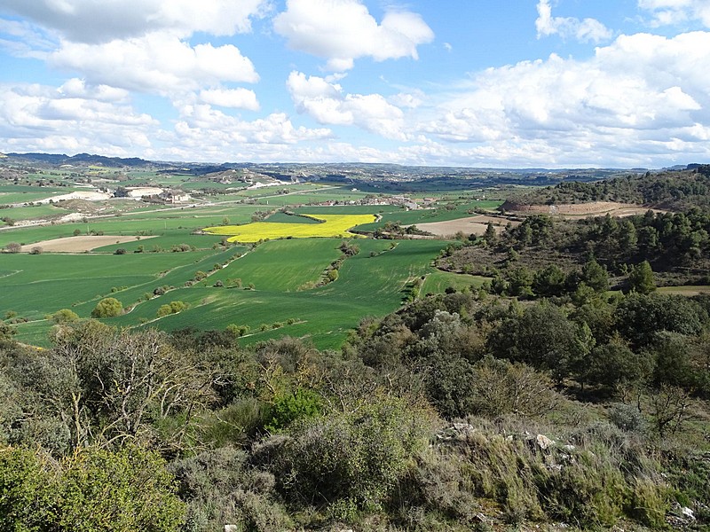 Castillo de Montpaó