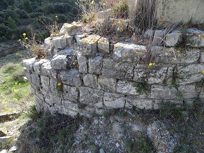 Castillo de Montpaó