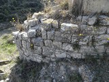 Castillo de Montpaó