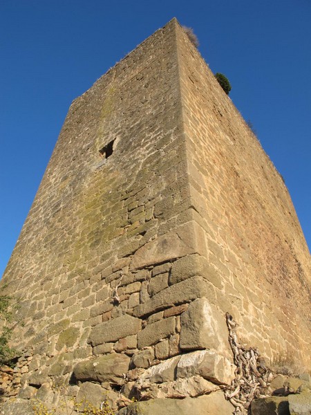 Torre de Riner