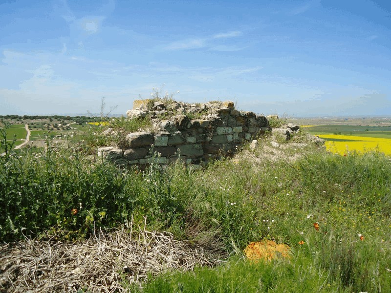 Castillo de La Figuerosa