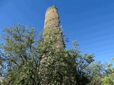 Torre de Puigcercós