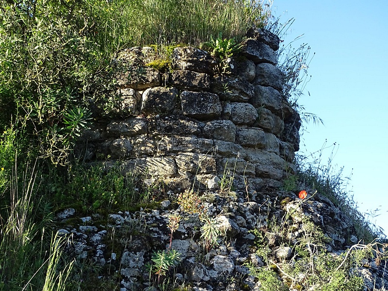 Castillo de Argentera