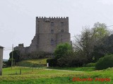 Fortaleza Pardo de Cela