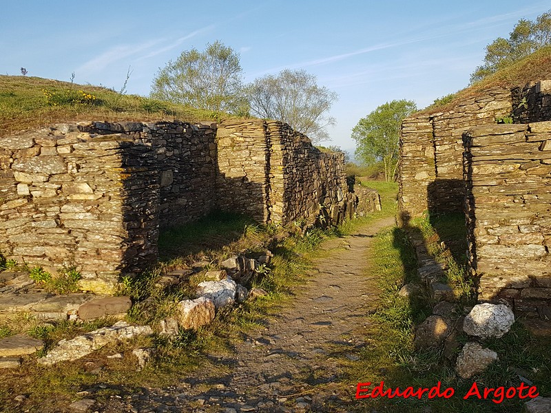 Castro de Castromaior