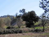 Castillo de Querencia