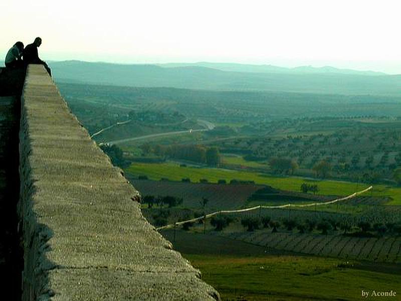 Castillo de los Condes de Chinchón