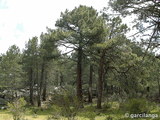 Embalse La Jarosa