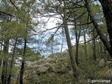 Embalse La Jarosa