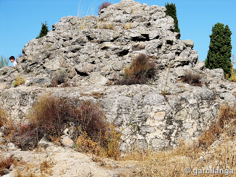 Castillo de Navas del Rey