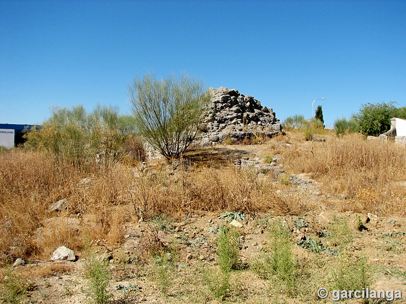 Castillo de Navas del Rey