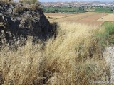 Castillo de Ribas