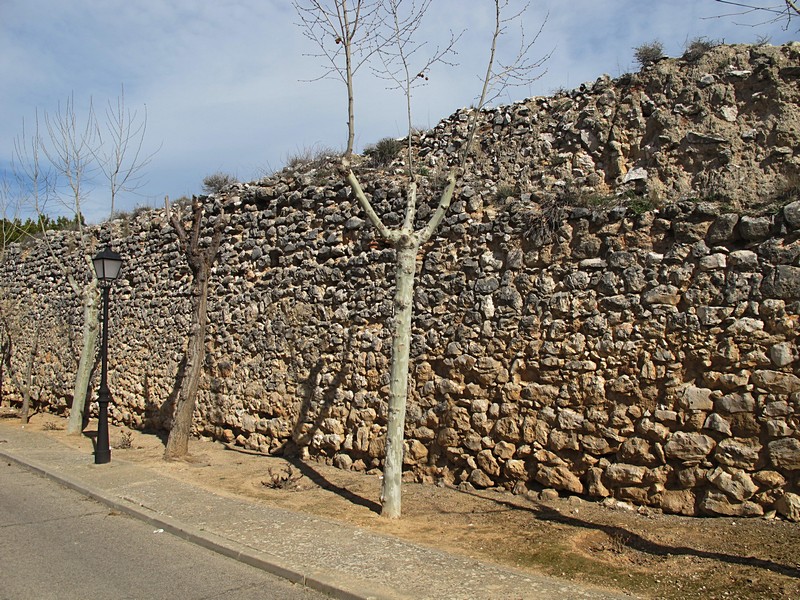 Castillo de Torremocha