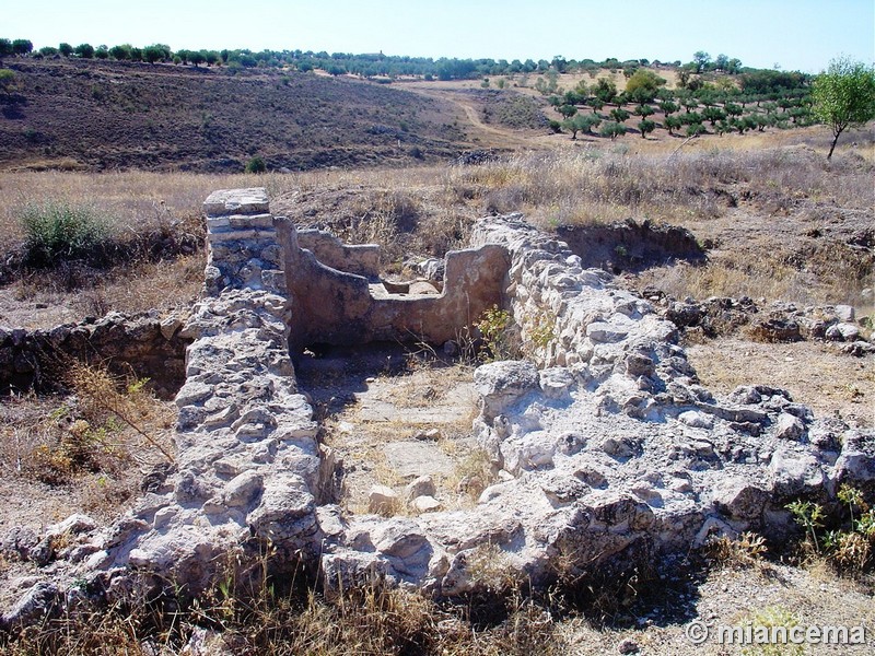 Yacimiento arqueológico de Santa María