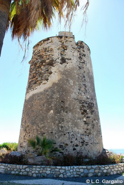 Torre Muelle