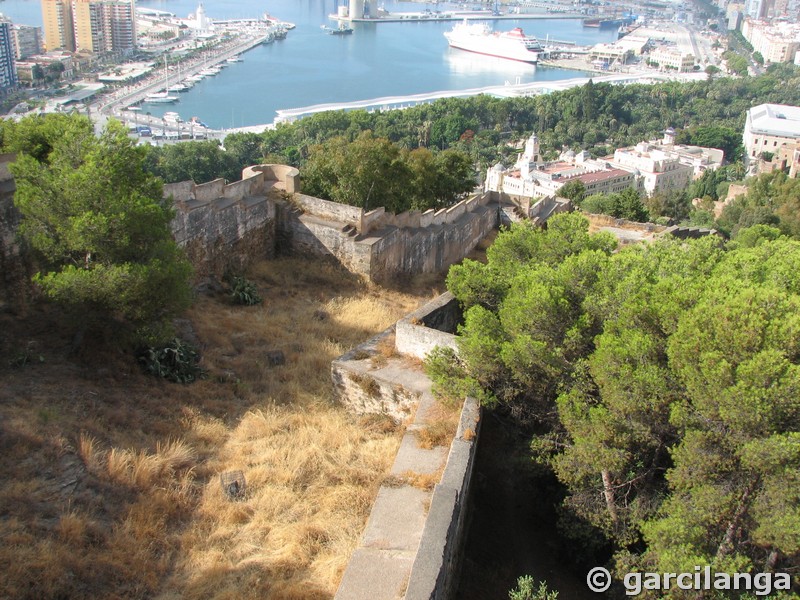 Imagen de Coracha de Málaga