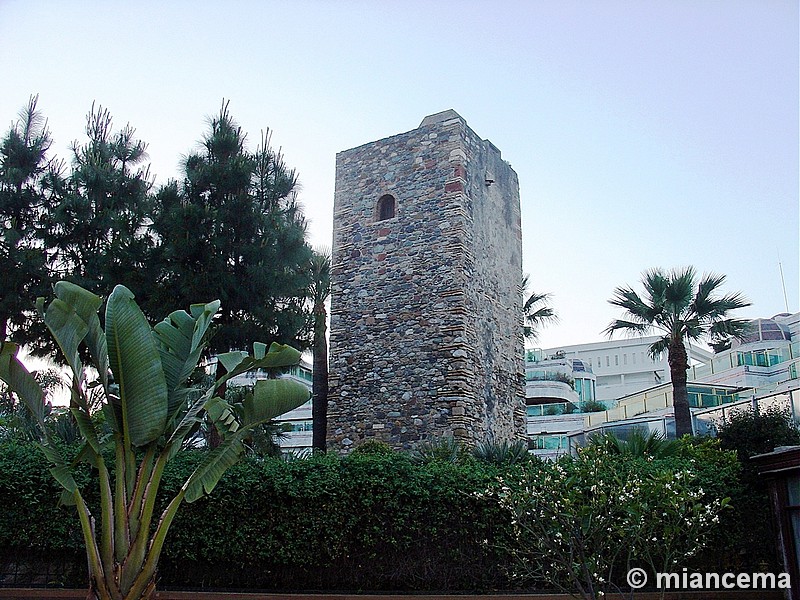 Imagen de Torre del Duque