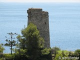 Torre del Pino