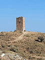 Torre Jaral